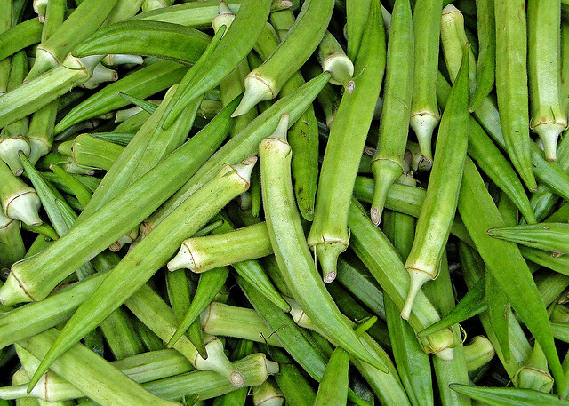 Okra 16