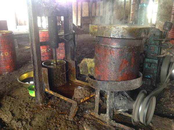 Palm Oil p4