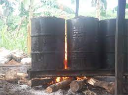 Palm Oil p5