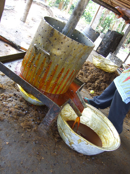 Palm Oil p6
