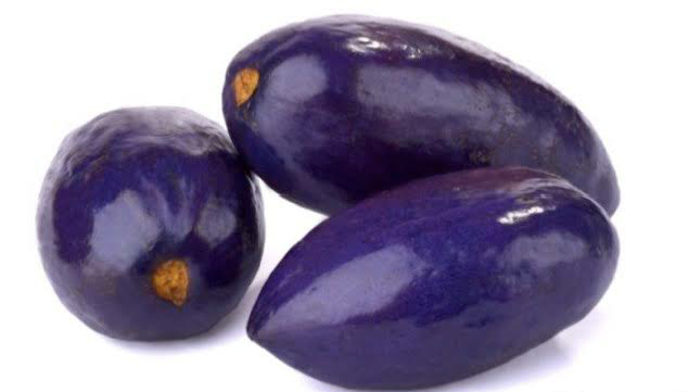 African Butter Pear 10