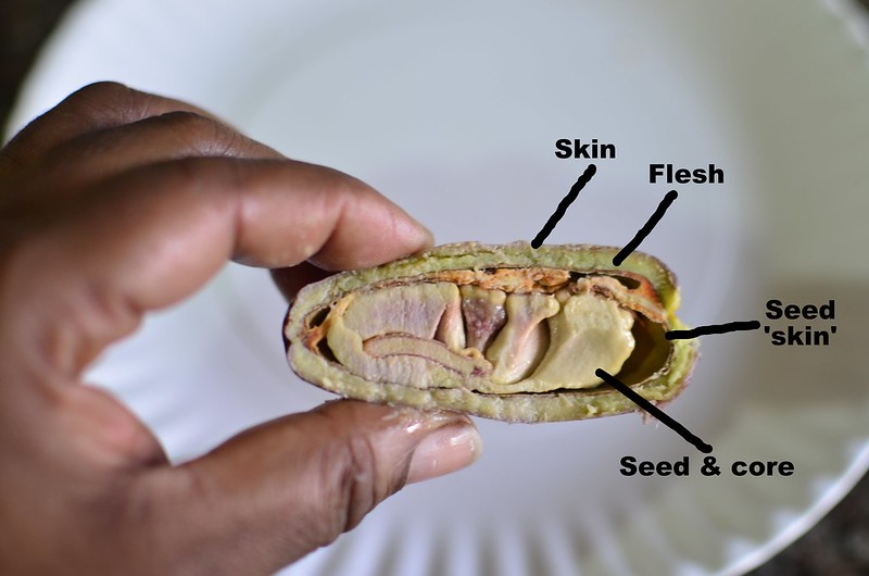African Butter Pear 15