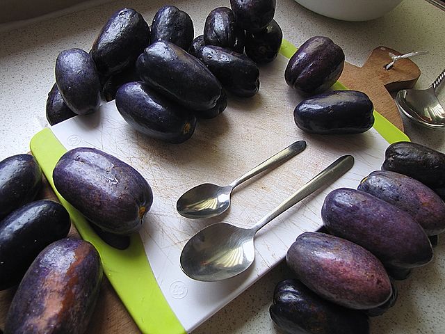 African Butter Pear 16